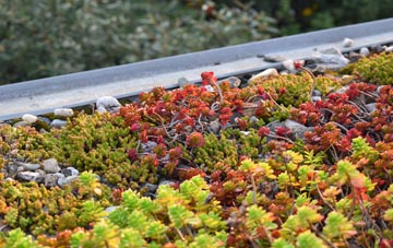 the cost of Batson green roof installation